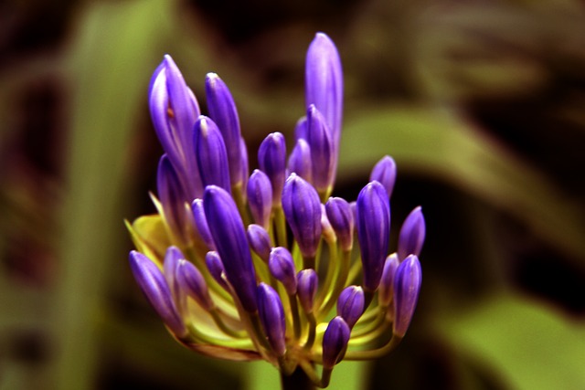 有助于提升 有助于提升