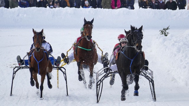 这是否会为 这是否会为