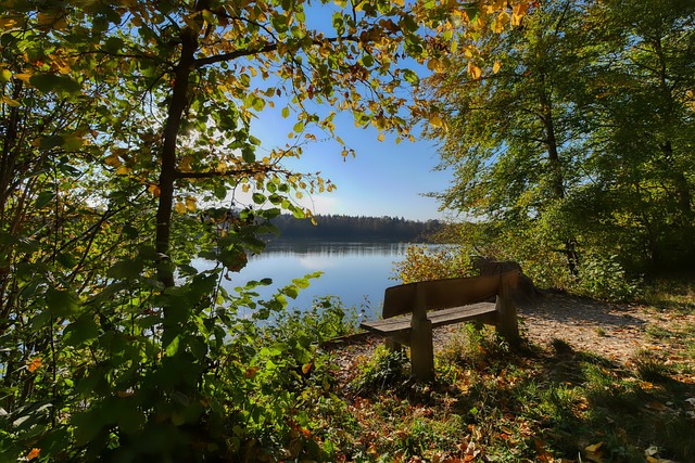 特朗普政府 特朗普政府