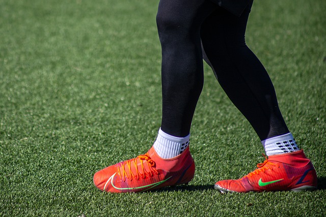 受援国的动 受援国的动